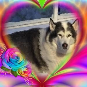 Meet your Posher, Deb